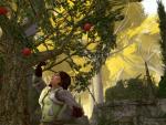 Apple Tree in Riders of Rohan
