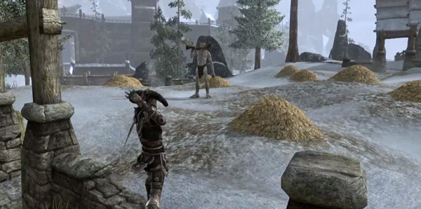 The Elder Scrolls Online Preview Screenshot 1