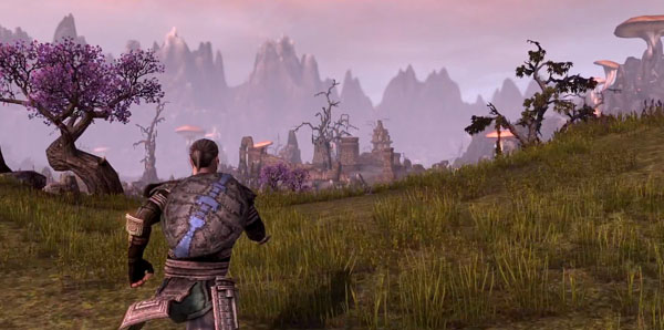 The Elder Scrolls Online Preview Screenshot 5