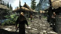 Skyrim and MMO games