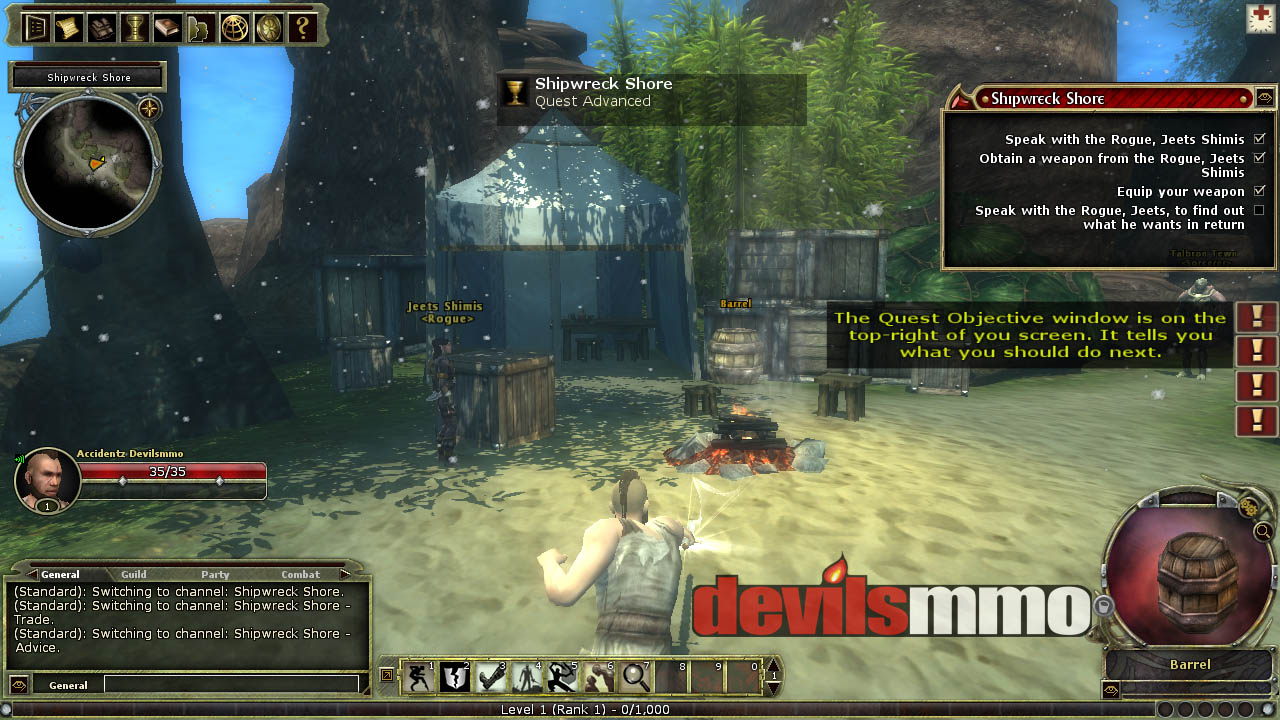 Dungeons and Dragons Online MMO Review