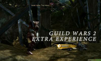 Guild Wars 2 Extra Experience Tips