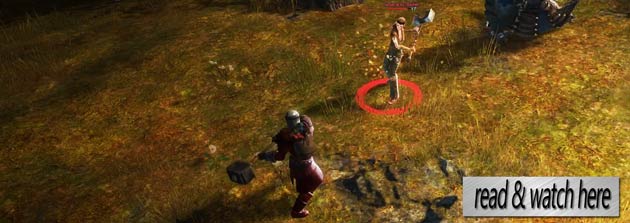 read Guild Wars 2 diary here