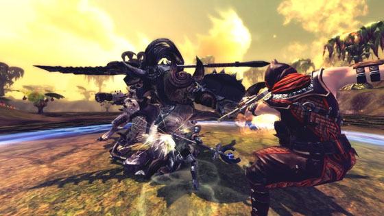 RaiderZ