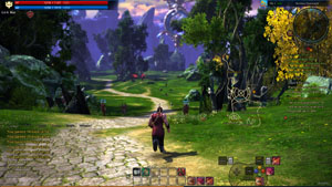 TERA Diary