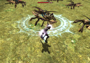 Waren Story brawler 