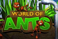 World of Ants